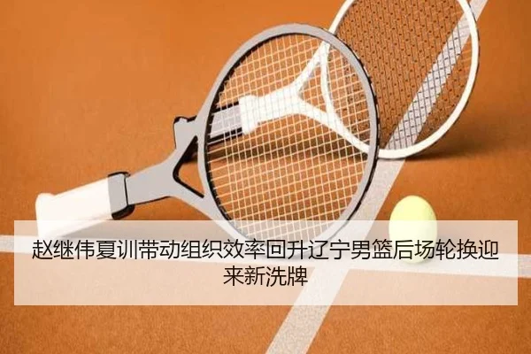 赵继伟夏训带动组织效率回升辽宁男篮后场轮换迎来新洗牌